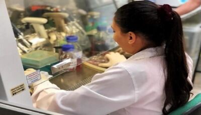 Centelha MS ganha novo prazo para inscrições de ideias inovadoras