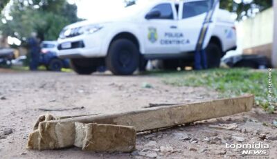 Homem mata gato da vizinha a pauladas e joga animal por cima do muro 