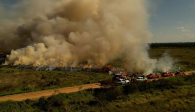 Com atuação preventiva aos grandes incêndios florestais em Mato Grosso do Sul, o Corpo de Bombeiros 