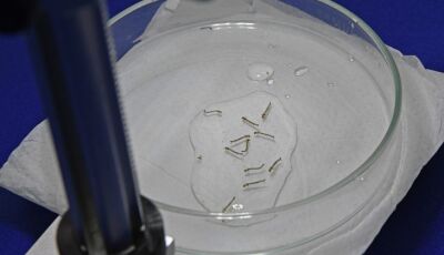 MS registra 4.834 casos confirmados de chikungunya