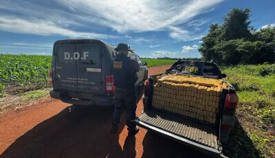 Operação Integrar apreende cerca de 2 toneladas de drogas e mobiliza forças de segurança 