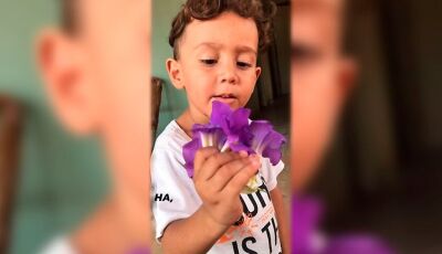 Mãe pede fim de julgamentos após morte de menino atropelado