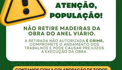 Não retire madeiras da obra do Anel Viário