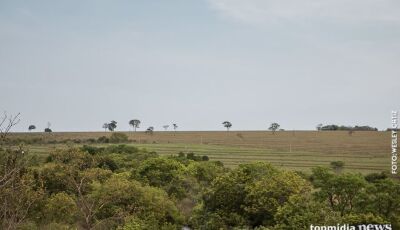 Idoso que estava desaparecido é encontrado morto dentro de saco plástico 