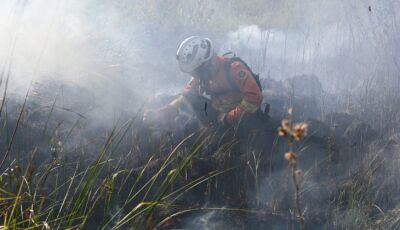 Decreto de emergência ambiental reforça preparação para enfrentamento a incêndios f