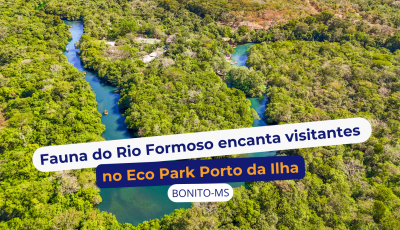 Fauna do Rio Formoso encanta visitantes durante os passeios no Eco Park Porto da Ilha
