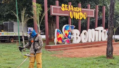 Prefeitura realiza roçada e limpeza às margens da MS-178