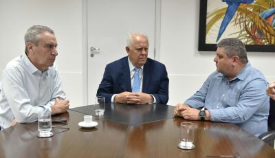 Prefeito de Bonito se reúne com o presidente do TCE-MS