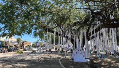 Bonito dá início à 10ª edição da FLIB nesta terça-feira (7)