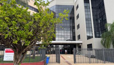 Justiça condena homem a quatro anos de prisão por matar filhotes de cachorro