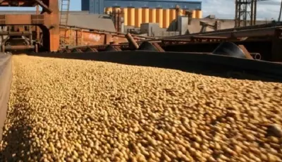 Exportações de Mato Grosso do Sul chegam a US$ 7,2 bilhões  