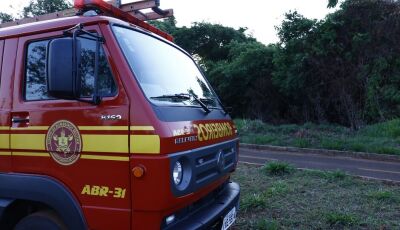 Funcionário encontra cadáver em avanço estado de decomposição 