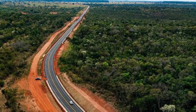 Investimento de R$ 5 milhões vai reforçar a proteção da fauna na MS-345, principal acesso a Bonito