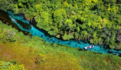 Bonito volta a ser destaque na Revista de Bordo da Azul nas edições de julho e agosto