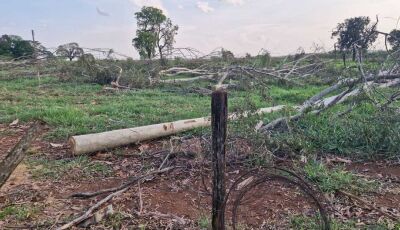 Trabalhador morre ao levar choque em cerca energizada por fio de alta tensão 