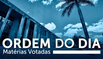 Aprovados projetos sobre consumo, habitação e proteção às mulheres 