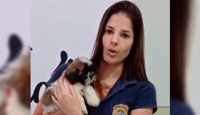 Mulher é presa por maus-tratos contra cachorrinha em MS