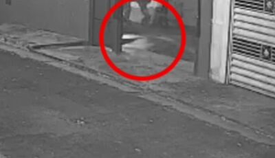 Tutor é denunciado por judiar de cachorro 