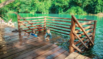 Atividades para crianças: diversão para toda a família no Eco Park Porto da Ilha