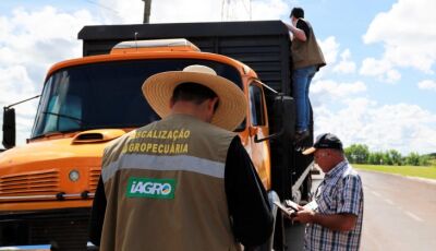 Seminário vai discutir combate ao uso de agrotóxicos ilegais e transporte irregular de insumos