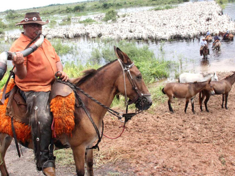 Hoje é dia do Homem Pantaneiro, o guardião do bioma - Bonito Informa
