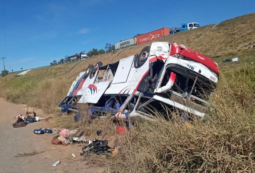 Ônibus saiu da pista da Washington Luís e caiu em ribanceira em Rio Claro  Foto: Polícia Rodoviária