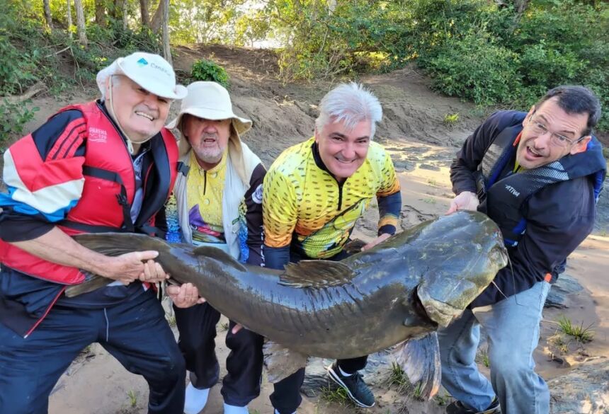 Grupo de turista captura peixe de 1,70 m e mais de 60 kg no rio Miranda  Foto: Reprodução/ Dieinis Andochia Rocha
