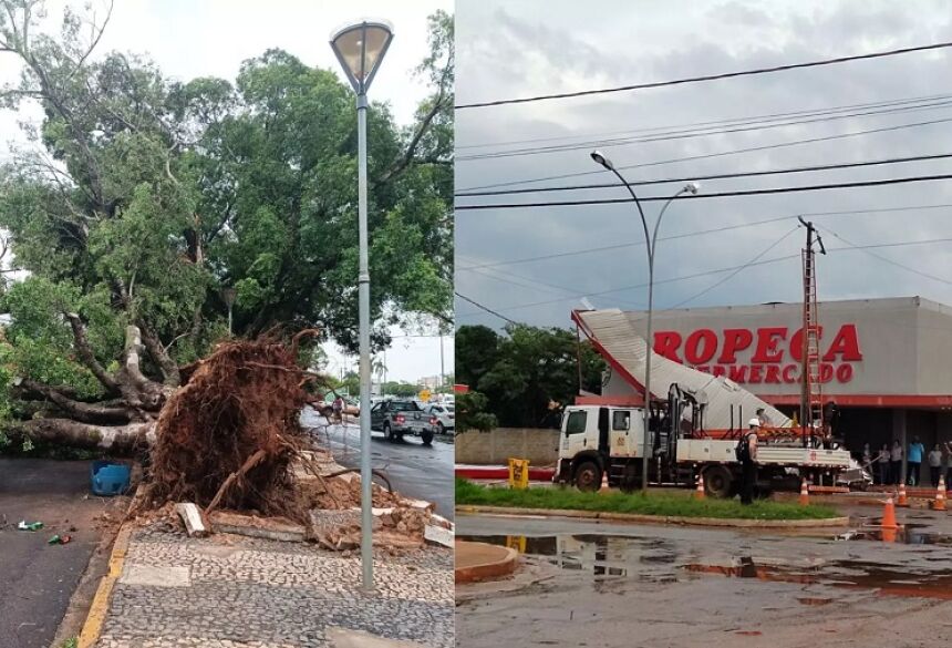 Temporal destelhou empresas e derrubou árvores. (Foto: Fala Povo)