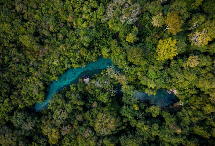 Foto por divulgação Nascente Azul