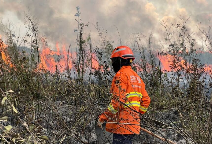 Fotos: Centro de Proteção Ambiental/CBM-MS