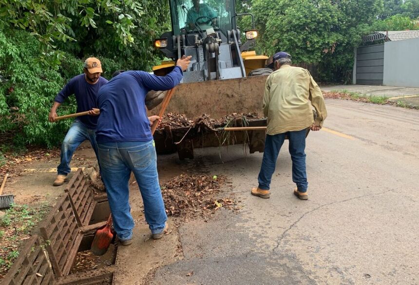 A ação também evita a proliferação de animais peçonhentos