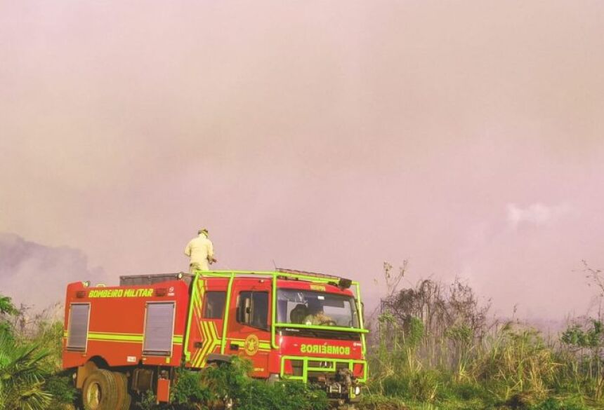 O uso da tecnologia contribui para as ações de monitoramento e preservação do Pantanal e dos outros biomas presentes em Mato Grosso do Sul