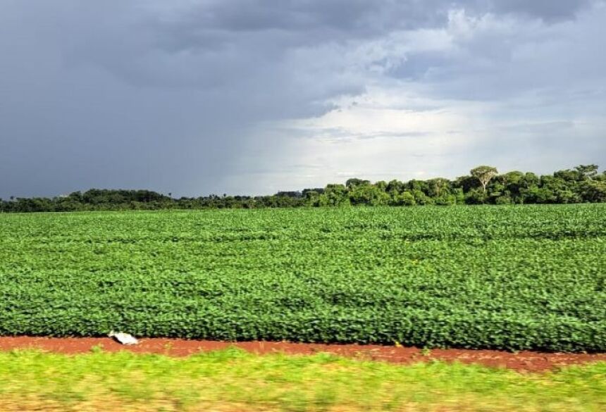 A colaboração de cada produtor é essencial para a segurança fitossanitária das plantações de soja em Mato Grosso do Sul