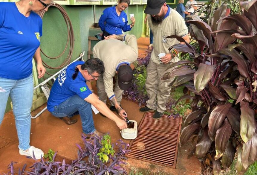 É essencial evitar o acúmulo de água parada em qualquer recipiente, como tonéis, caixas d'água e pneus, e realizar a limpeza regular de calhas e vasos de plantas