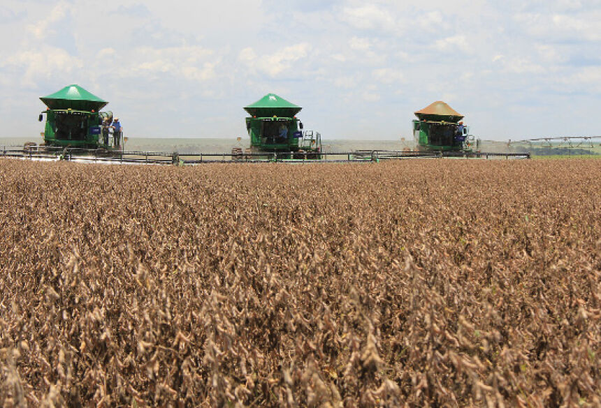 Nesta safra foram cultivados em Mato Grosso do Sul cerca de 4,2 milhões de hectares de soja e a estimativa de produção é de 54 sacas por hectare