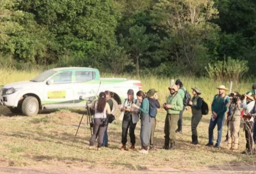 o curso abordou temas como a identificação de aves, técnicas de observação, preservação do meio ambiente e a importância do aviturismo 