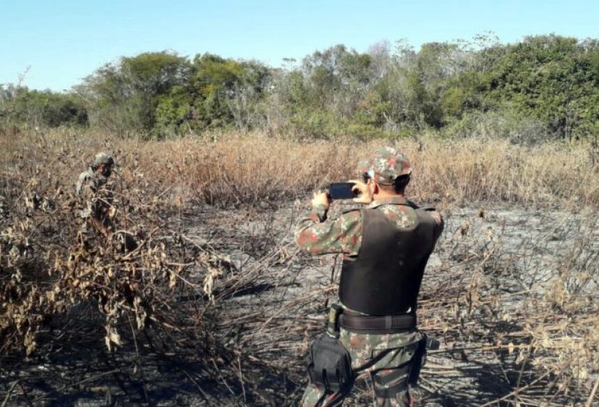 Outro recurso adotado nos últimos anos para evitar os incêndios florestais é a detecção de massa vegetal seca que possa oferecer risco de combustão