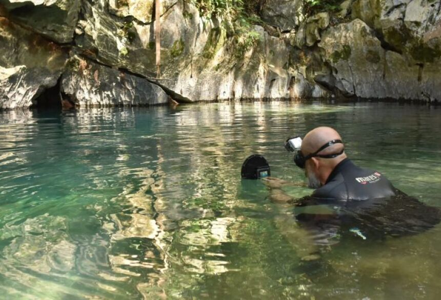 Desde a descrição da espécie em 1997, não temos informações ecológicas e comportamentais mais detalhadas