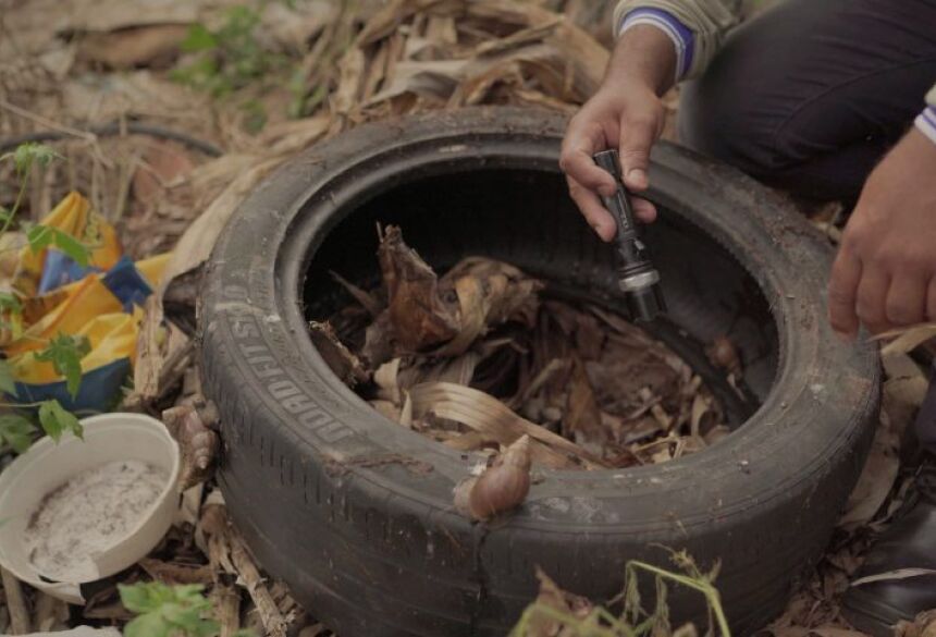 A vacinação contra a dengue é recomendada para crianças e adolescentes entre 10 e 14 anos, 11 meses e 29 dias de idade