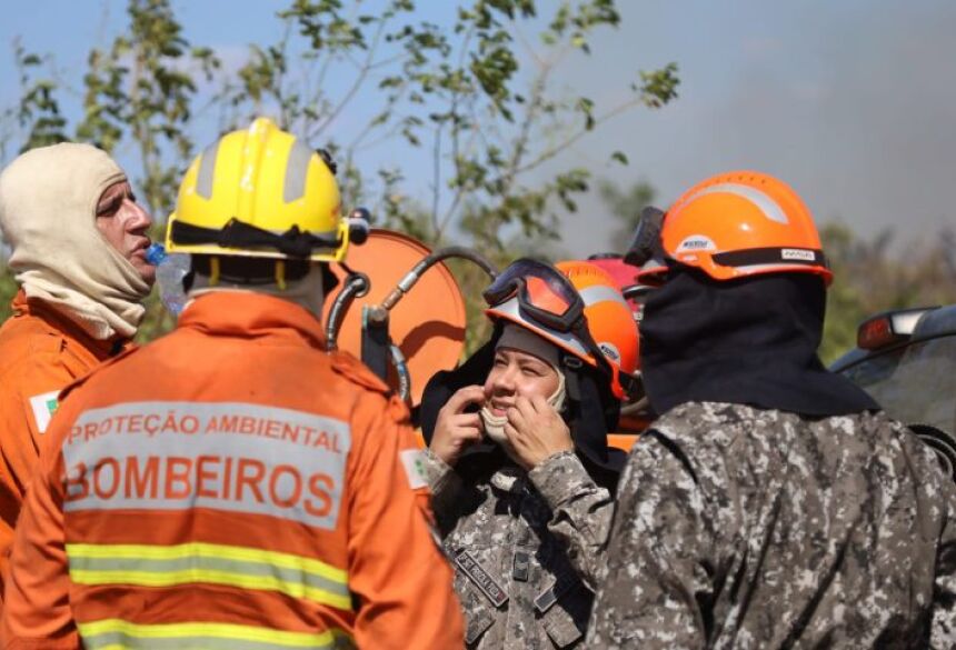 O trabalho do Corpo de Bombeiros e da Força Nacional foi coordenado e feito lado a lado para conter as chamas