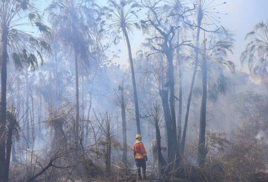 O Corpo de Bombeiros Militar do Paraná enviou ao Estado, quatro guarnições, e equipamentos específicos, para colaborar nas ações