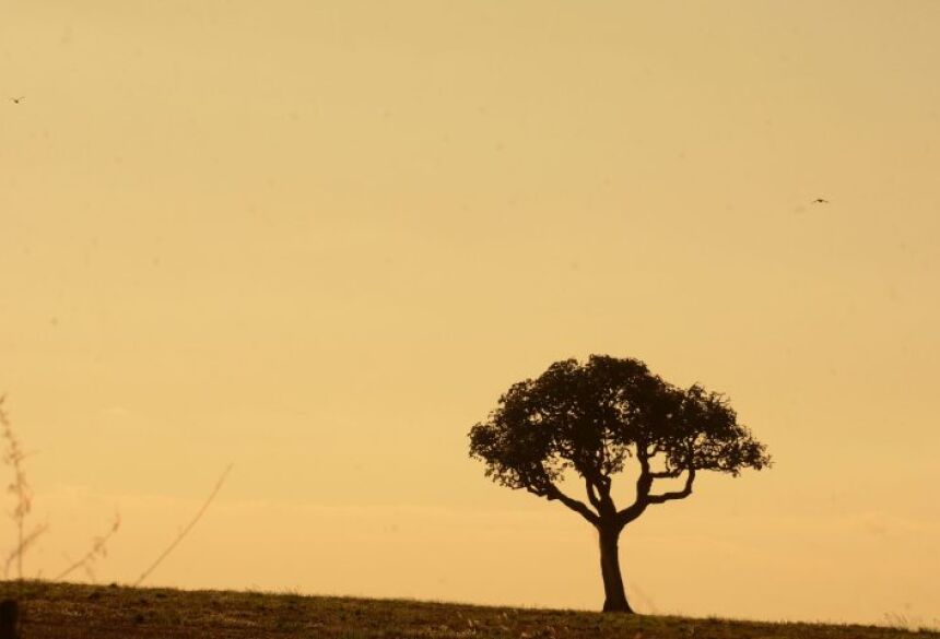 A tendência meteorológica, até o dia 30 de julho, é de probabilidade para ocorrência de chuvas de até 20 mm,