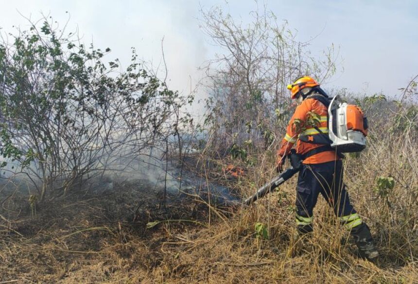 Na região próxima à fazenda Novo Horizonte, após enfrentar desafios devido ao difícil acesso, as equipes conseguiram chegar ao local e estão em ação