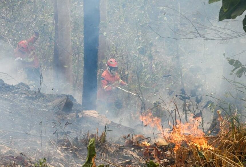 Os bombeiros concentraram trabalho na margem direita da rodovia BR-262