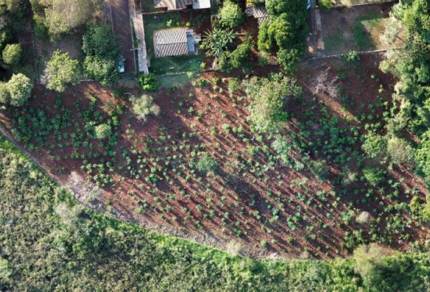 O Parque Natural Municipal do Paragem é uma Unidade de Conservação de Proteção Integral