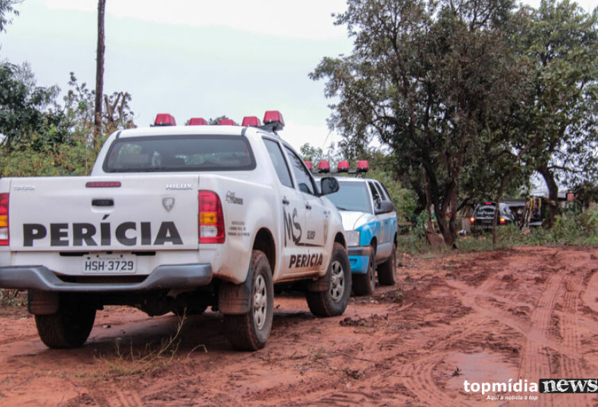 O caso foi descoberto após o incidente também gerar um incêndio na pastagem da propriedade