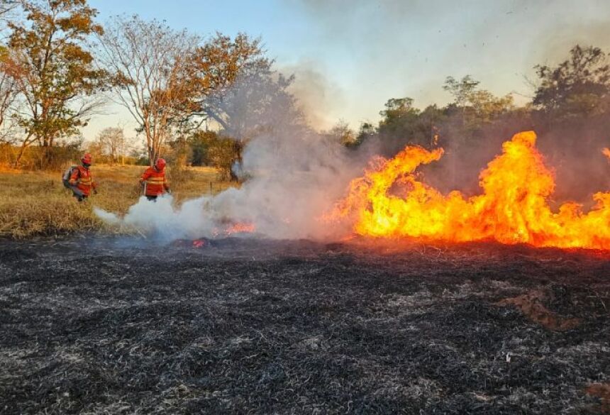 Um dos principais focos está na divisa com o Mato Grosso