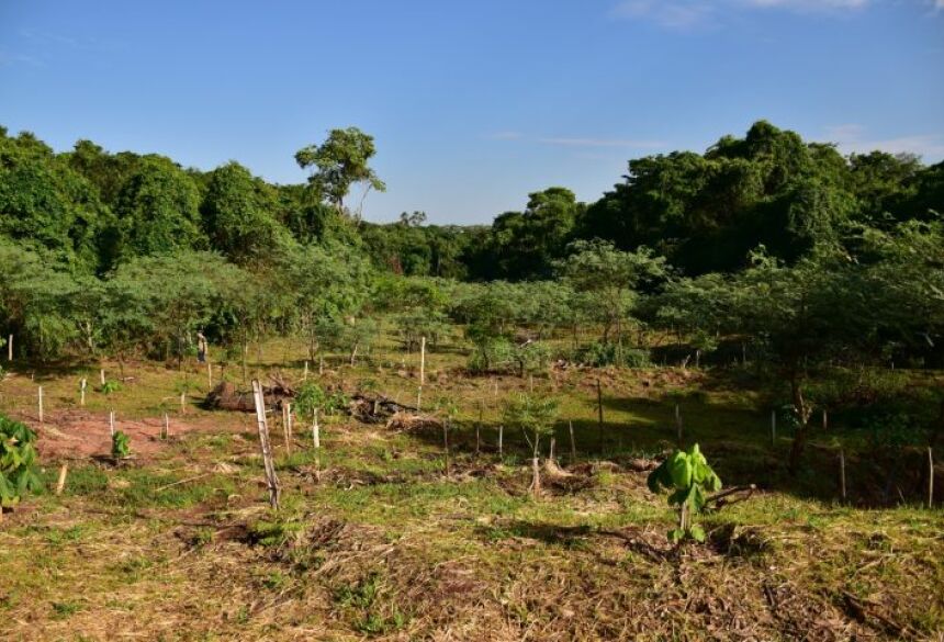 Desde o início, em 2003, um processo erosivo significativo se manifestou na região, provocando mudanças drásticas na paisagem