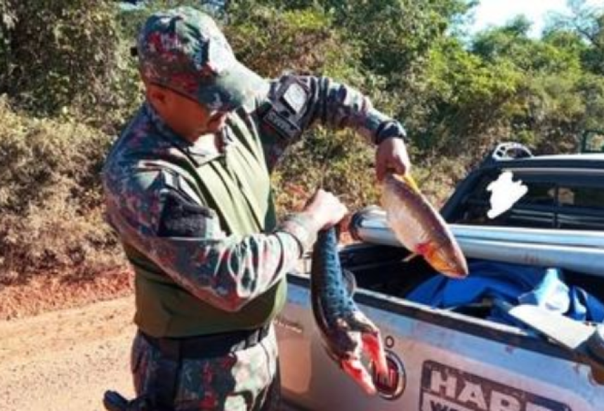 O homem afirmou que adquiriu os peixes de um pescador local, mas não apresentou nenhuma documentação que comprovasse a fala