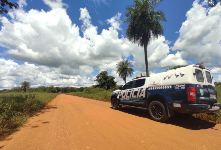 A Polícia Militar localizou e prendeu o caseiro, que confessou o furto de um dos animais